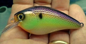 How To Airbrush Scale Patterns on Homemade Lures