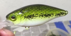 How to Paint a Baby Bass Pattern Crankbait